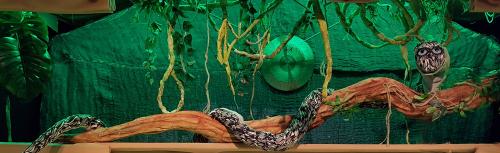 Voorstelling "Mag ik meedoen?"